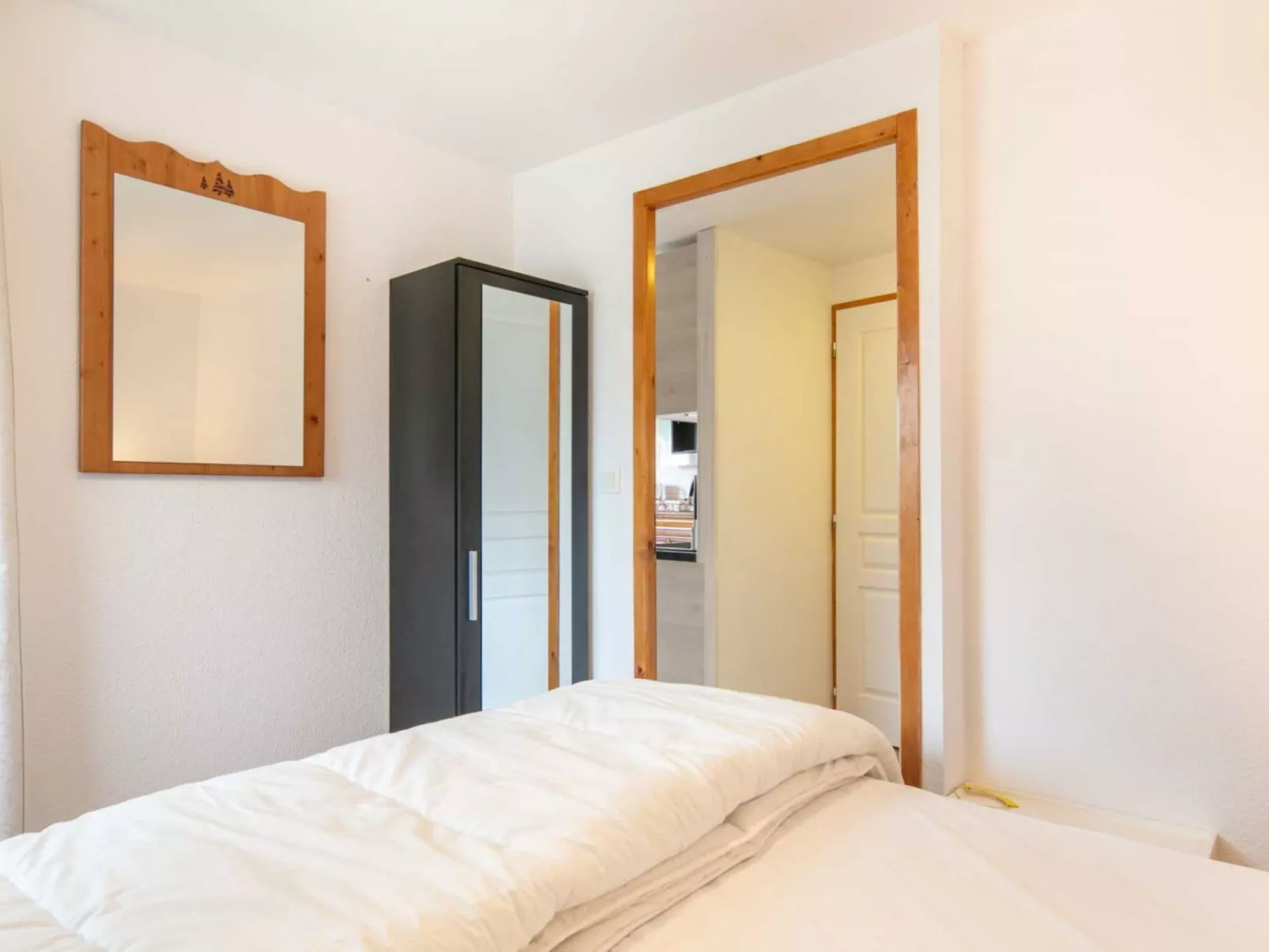 V.DU BACHAT Asters D-Inside