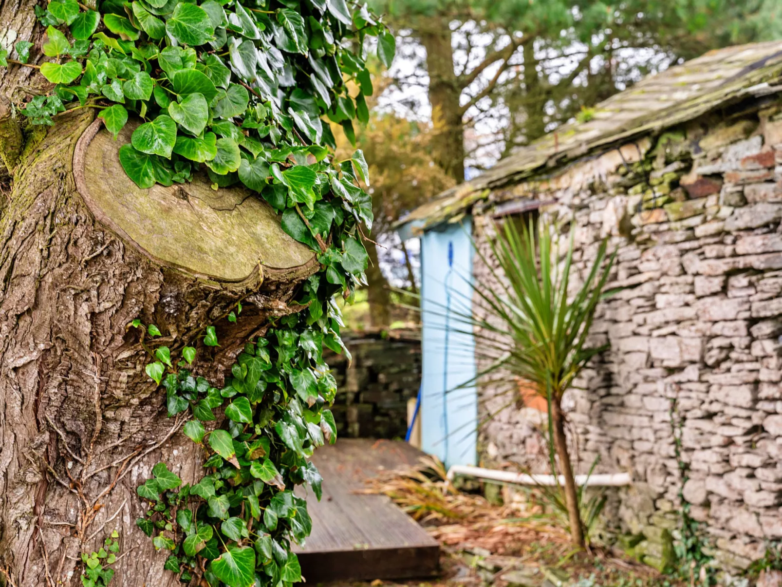 Fisherman's Cottage-Dedans