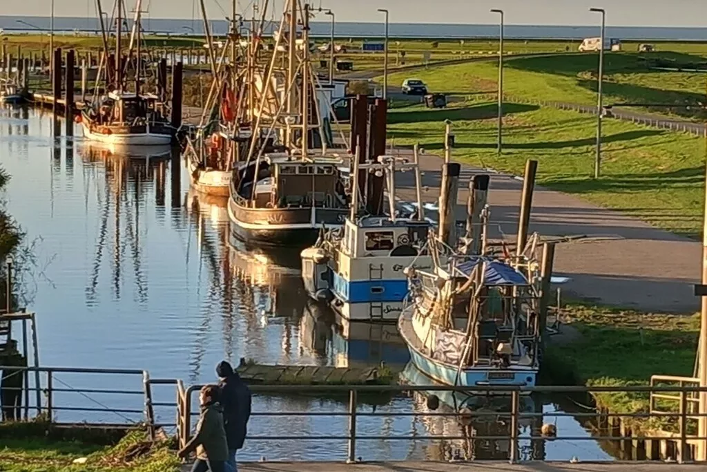 295839-Nicht zugeordnet