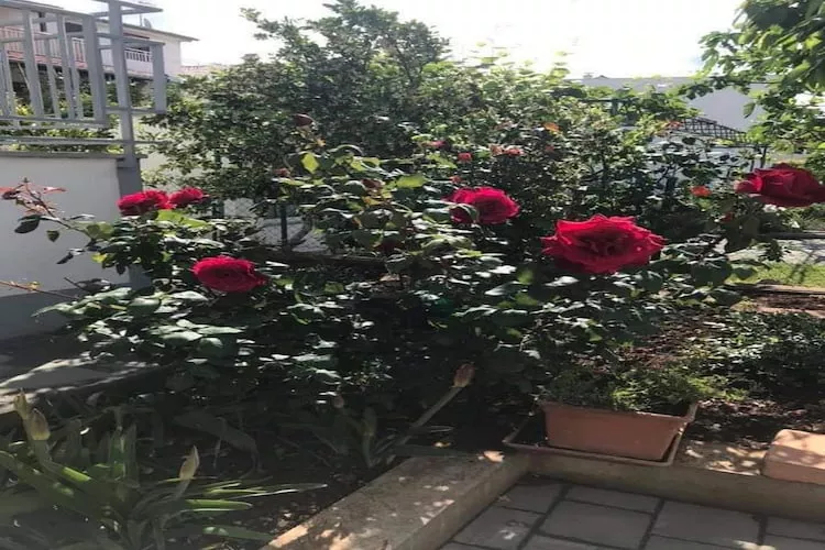 Apartments Villa Tanja - Two Bedroom Apartment with Terrace-Gardens in summer