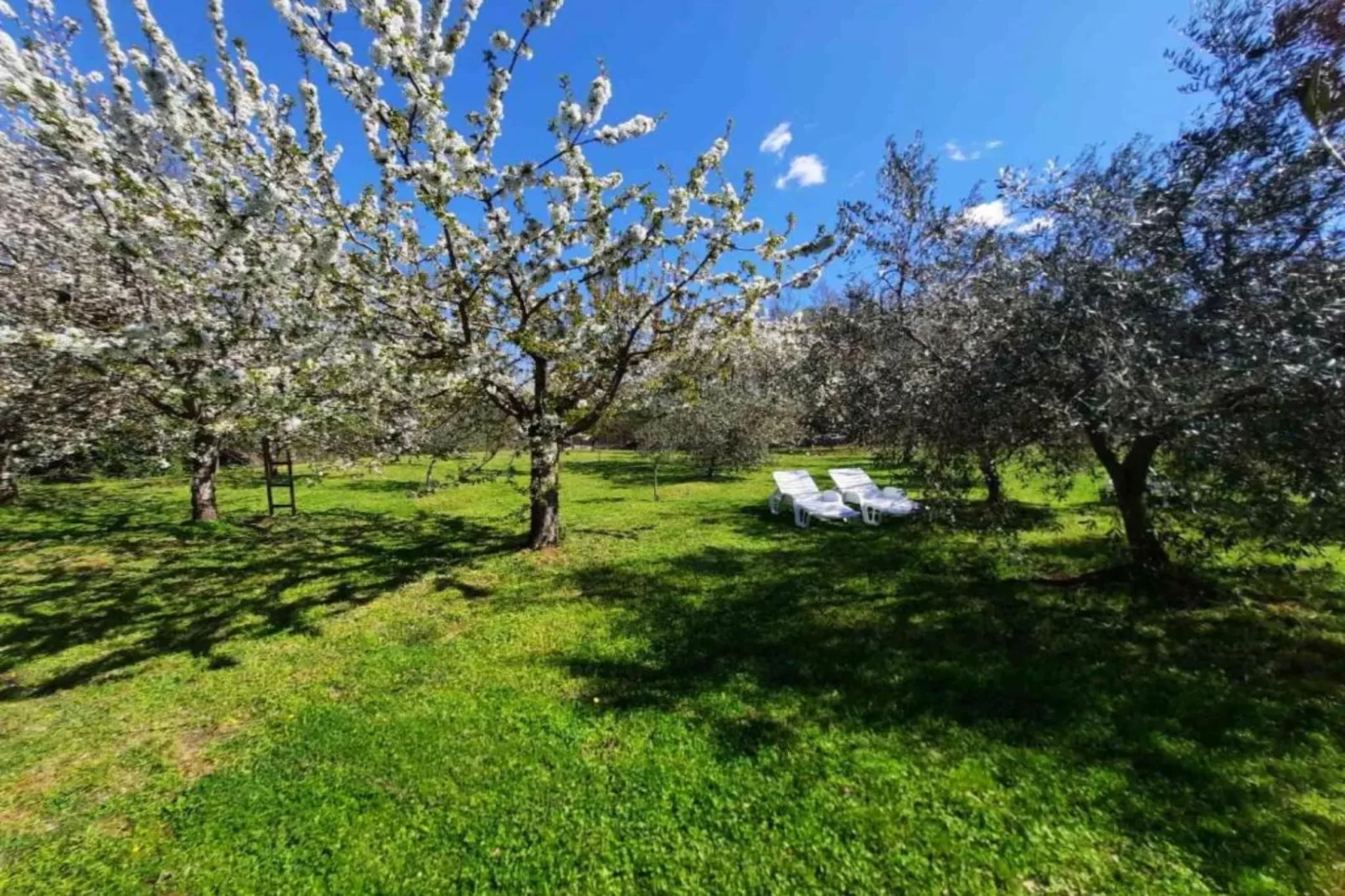 House in Nature-Outdoor