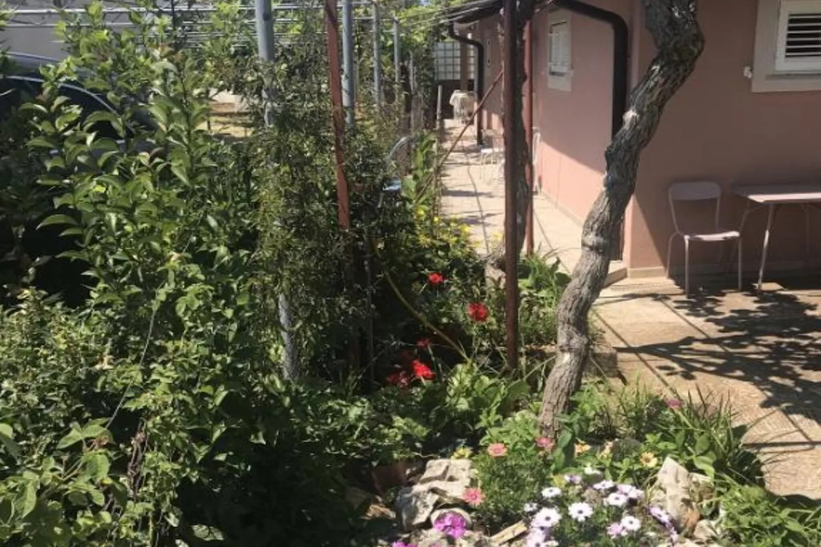 Apartmani Stefanija - Studio With Garden View-Im Freien