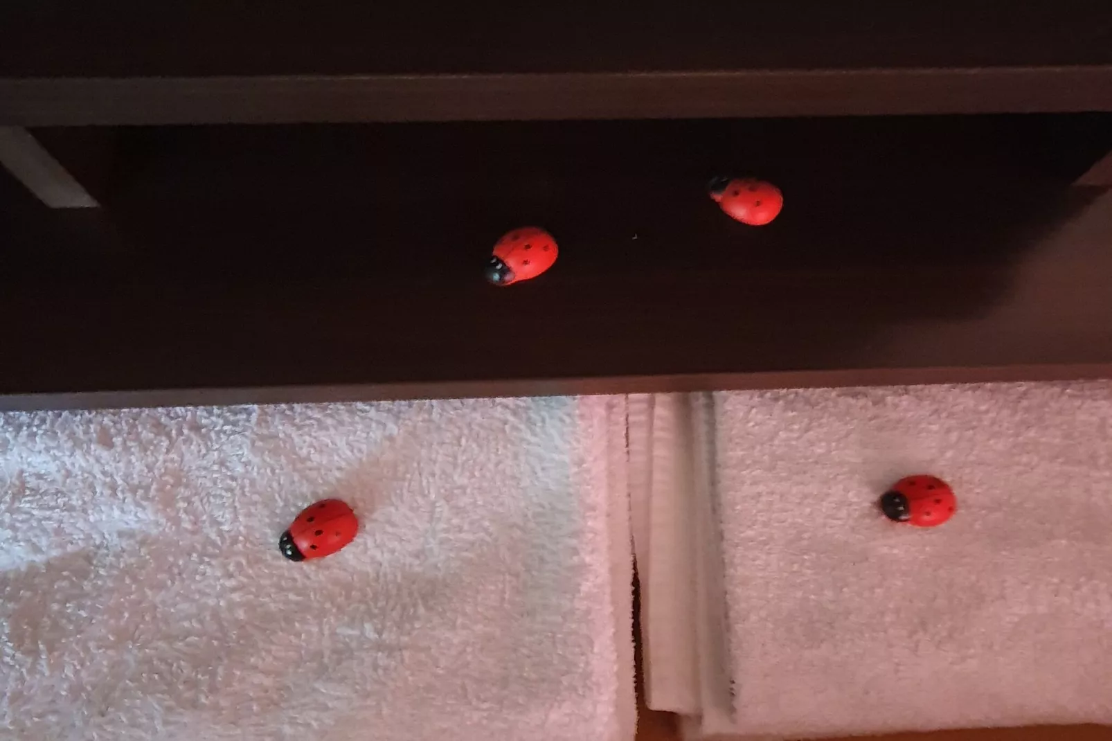 Viva Ve - Studio Apartment-Bathroom