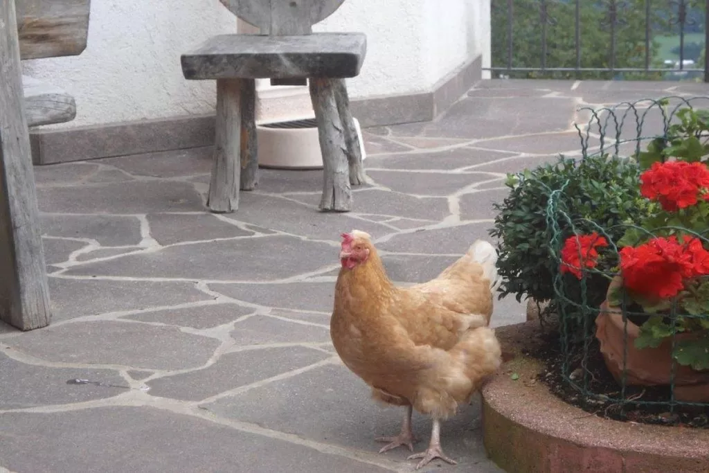 64253-Nicht zugeordnet