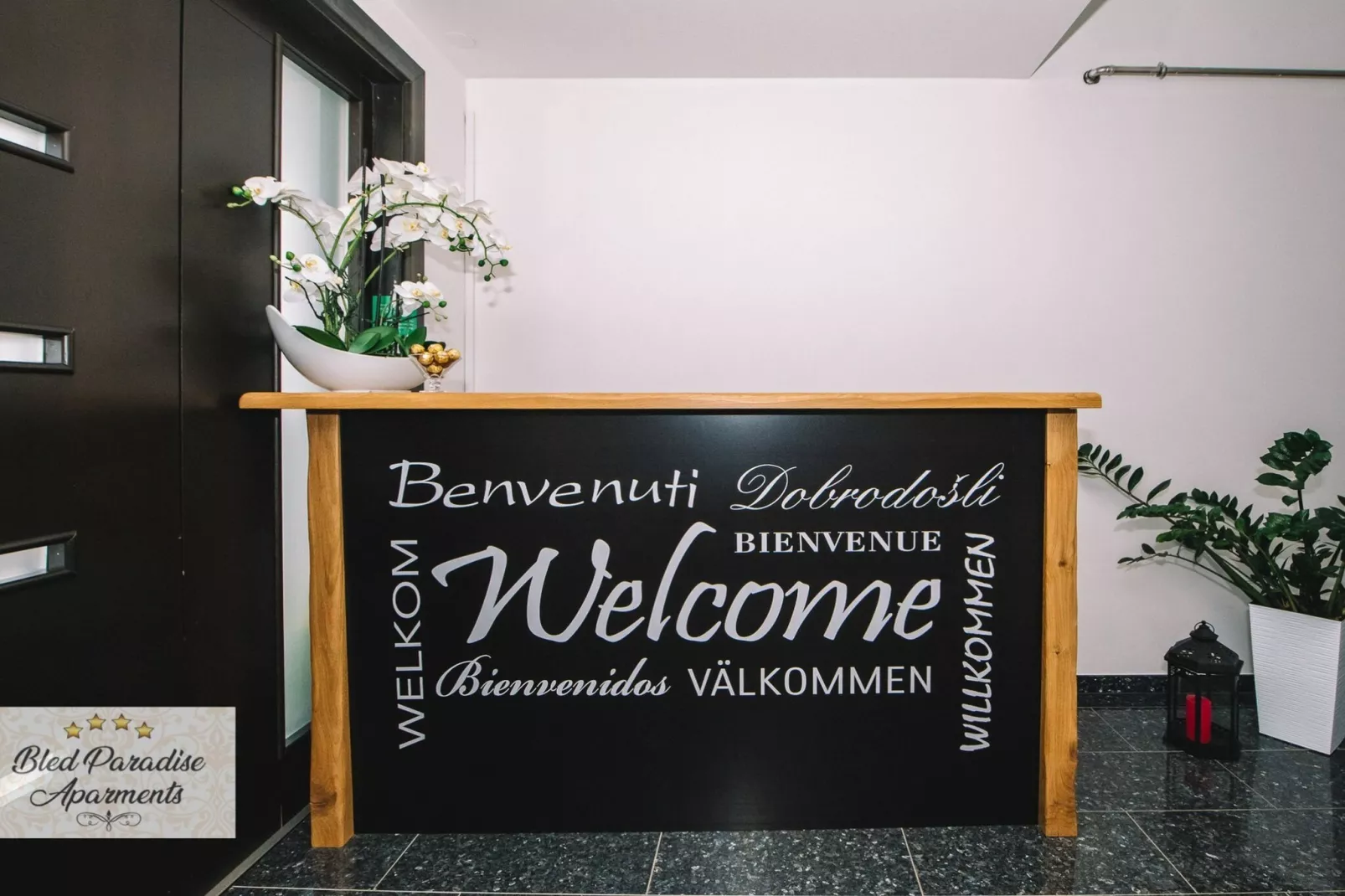 Bled Prestigious and Stylish Apartments - Classic One Bedroom Apartment with Balcony (owner 4)-Facilities