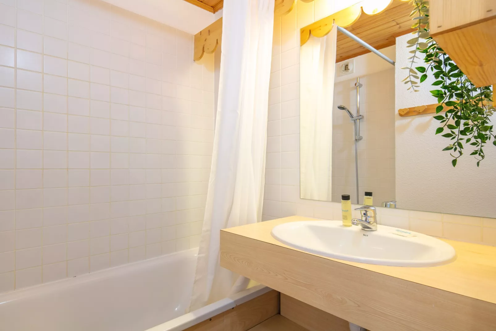 Vega N°501 - 2P5-Badezimmer