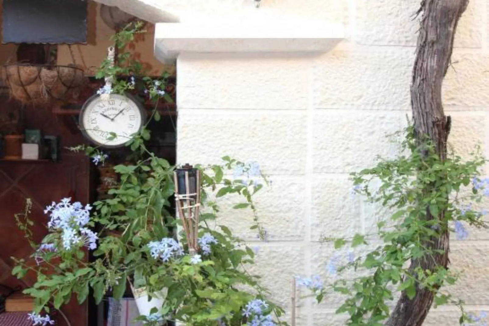 Quaint & Affordable Stay in Budva Traditional Stone House - Double Room 1-Gardens in summer
