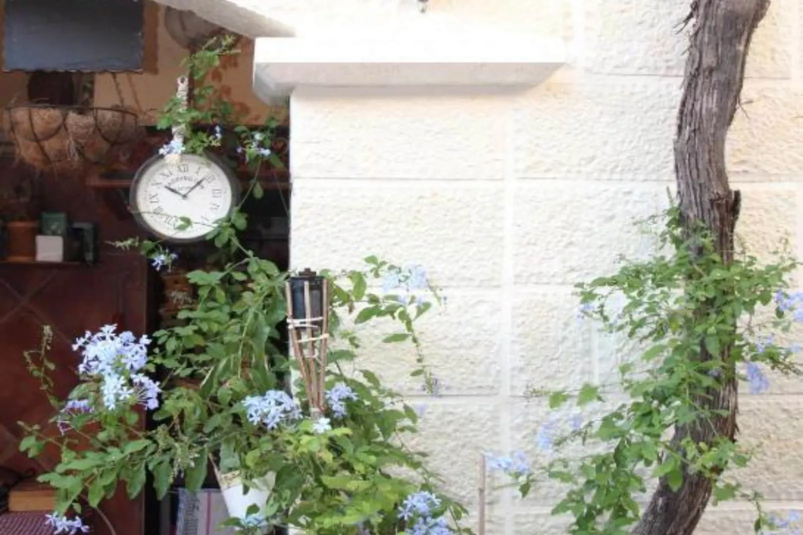 Quaint & Affordable Stay in Budva Traditional Stone House - Comfort Double Room 4-Gardens in summer