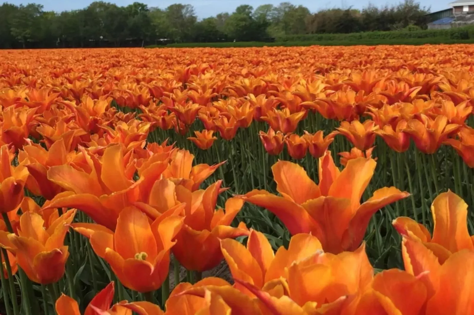 Loft Loopuyt-Ambiance