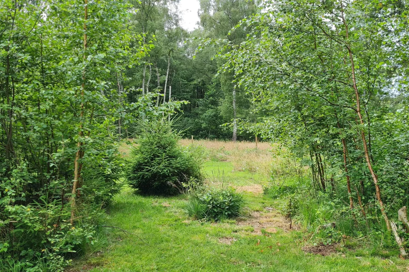 5 star holiday home in Frederiksværk-Untagged