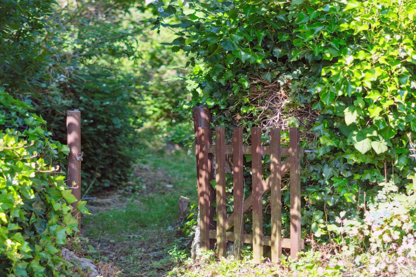 5 star holiday home in Svaneke-Outdoor