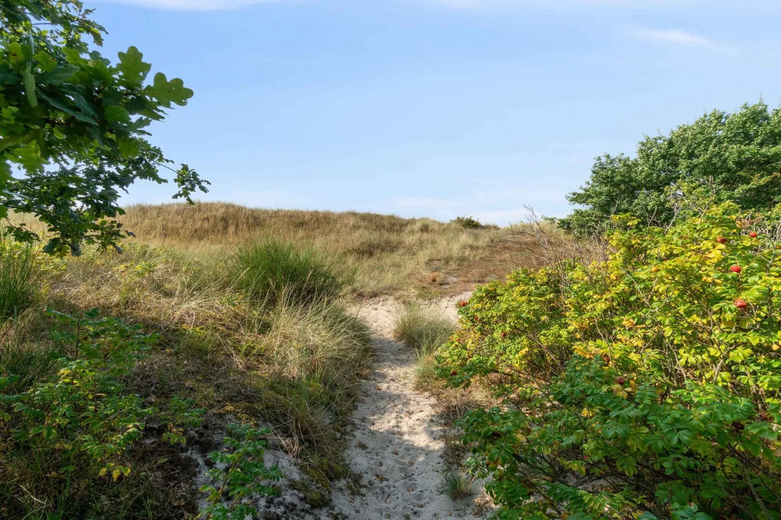 5 Sterne Ferienhaus in Aakirkeby-Im Freien