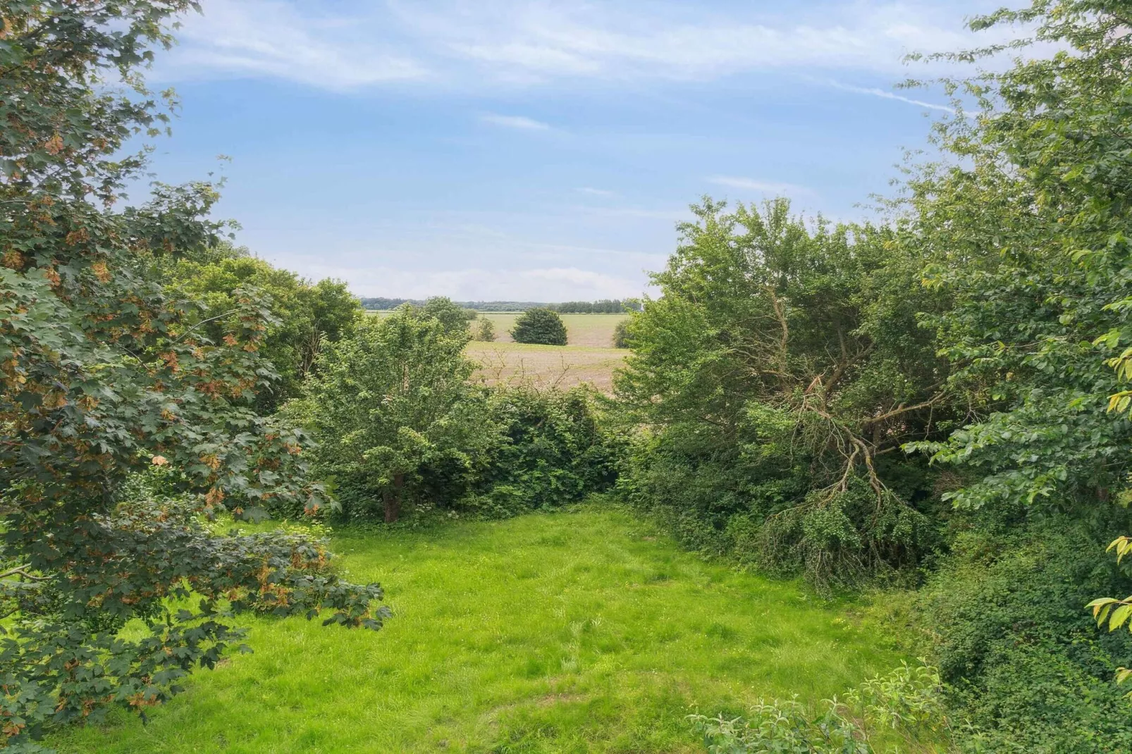 5 Sterne Ferienhaus in Vesterborg-Im Freien