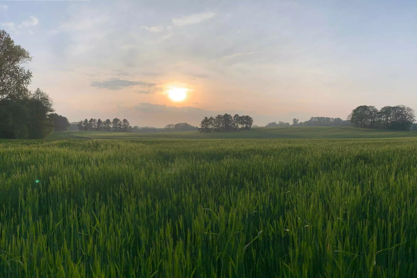 5 etoiles maison de vacances a Tikøb-Extérieur