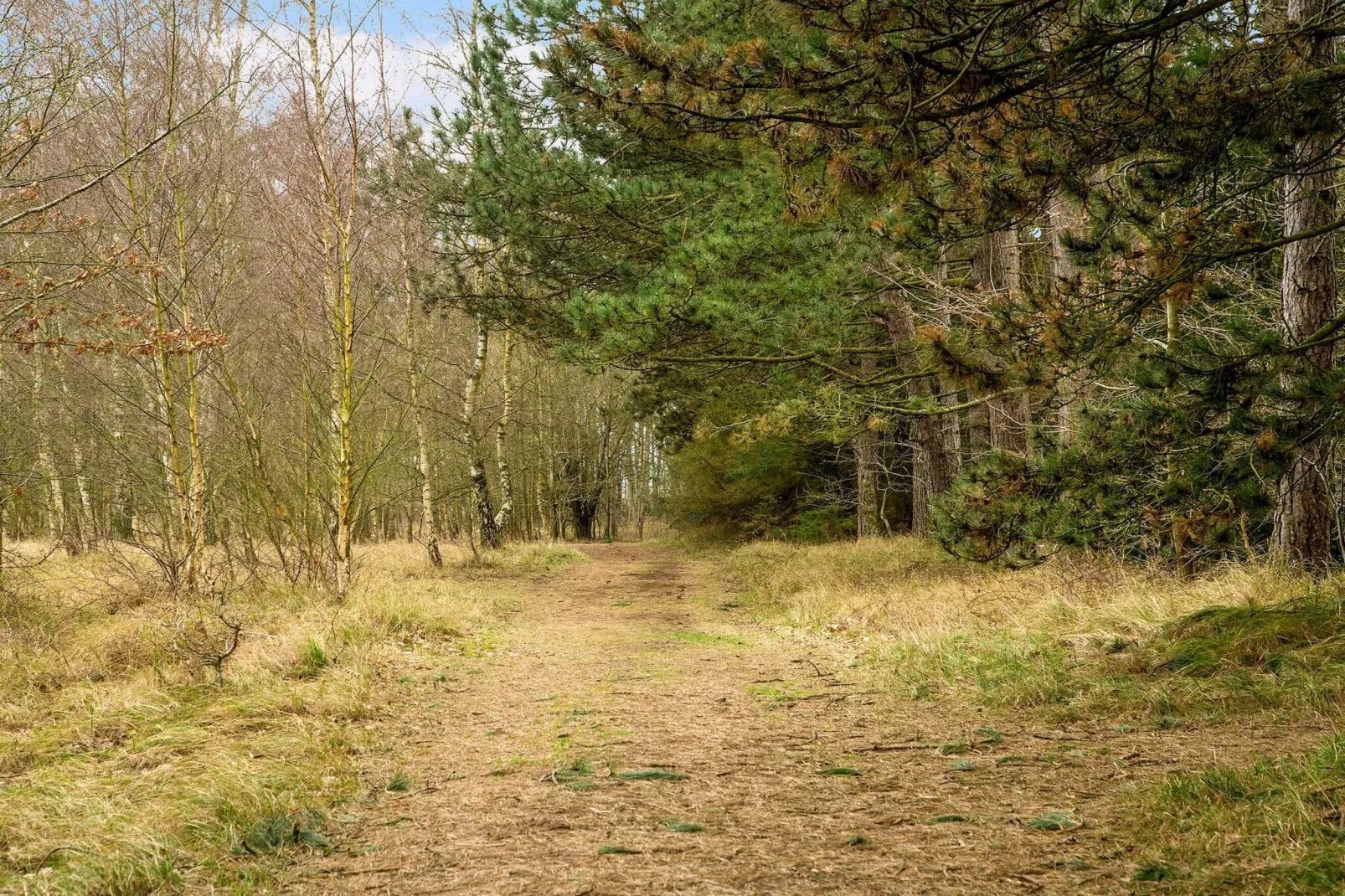 5 star holiday home in Store Fuglede-Outdoor