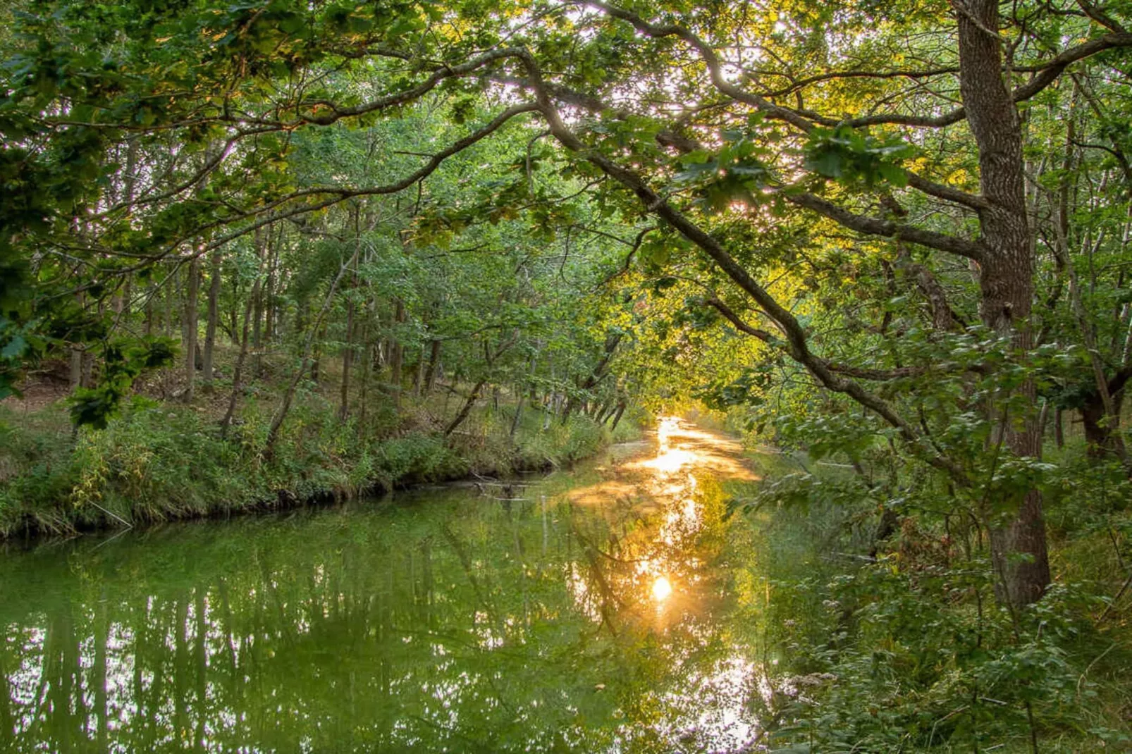 5 etoiles maison de vacances a Store Fuglede