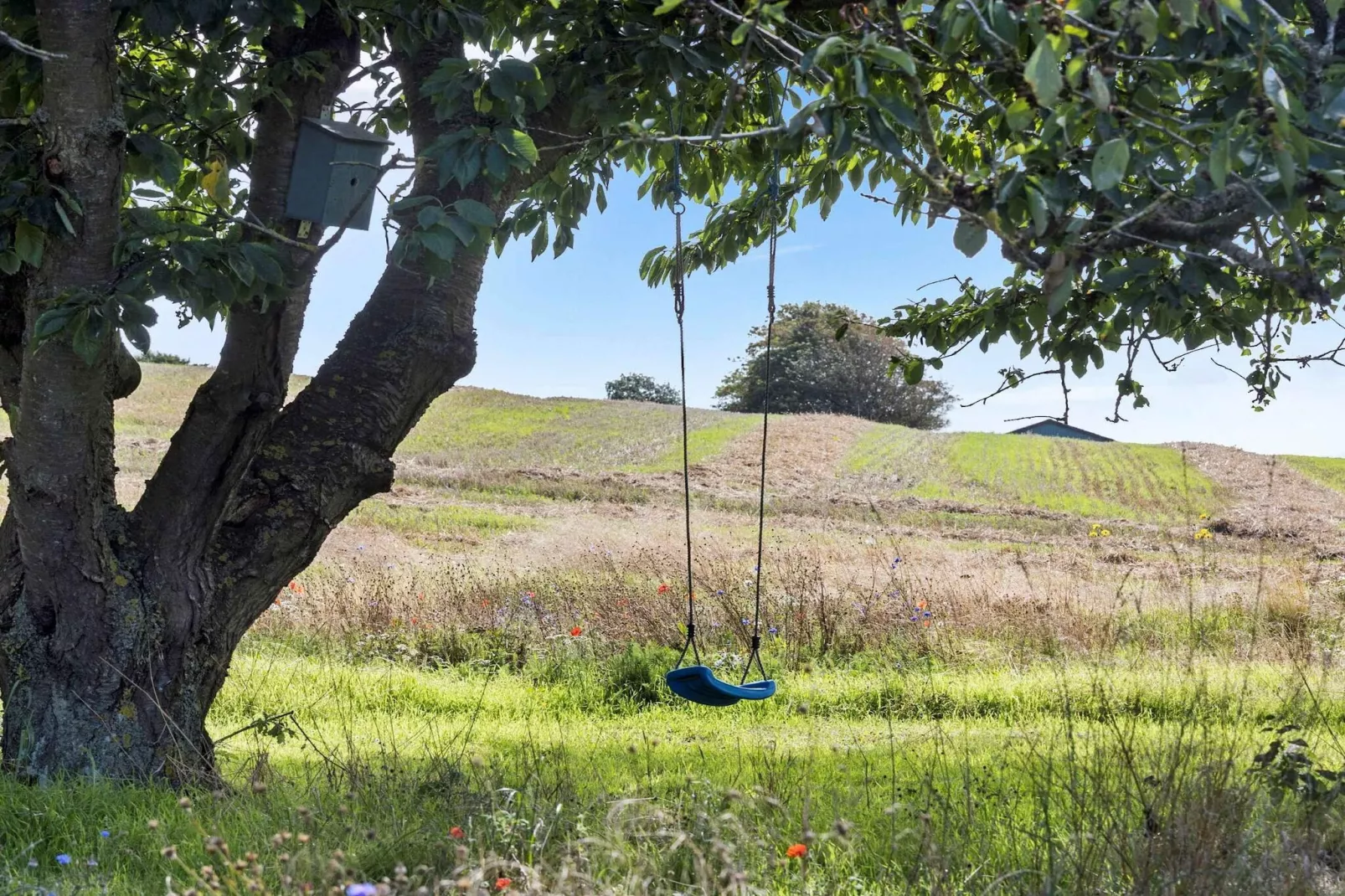 5 Sterne Ferienhaus in Bagenkop-Nicht zugeordnet