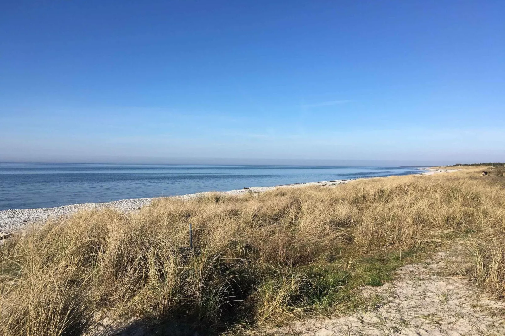 5 Sterne Ferienhaus in Nykøbing Sj-Im Freien