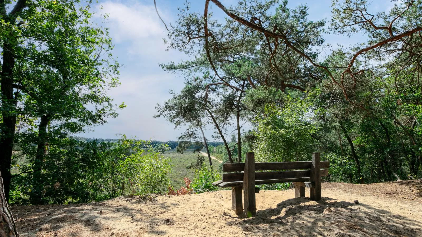 Bij ons Tinie-Areas summer 5km