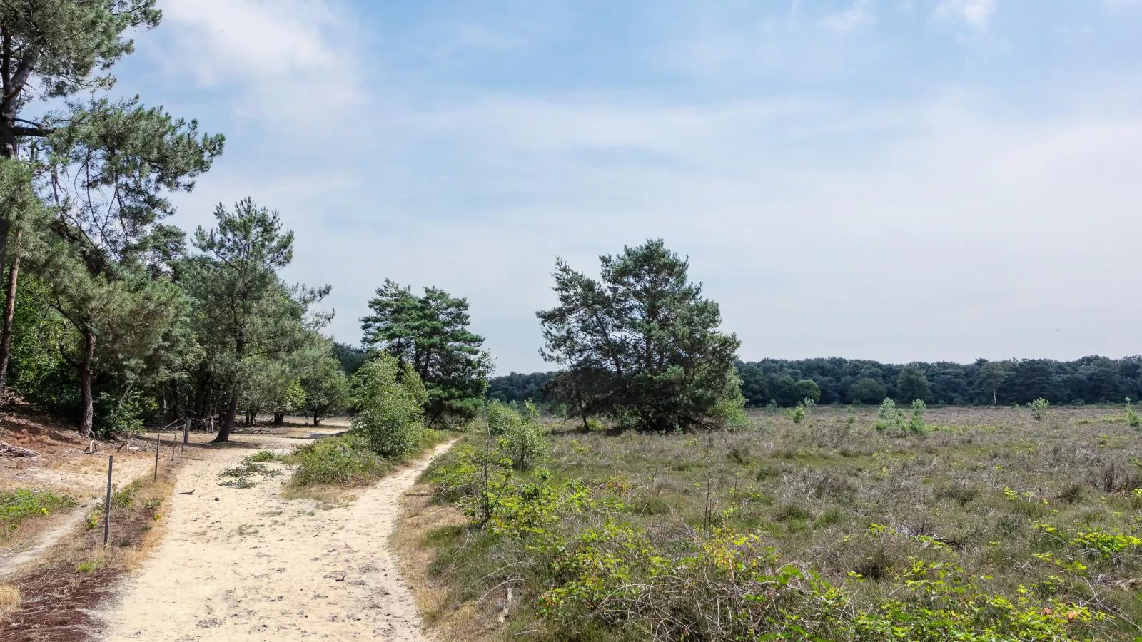 Bij ons Tinie-Areas summer 5km