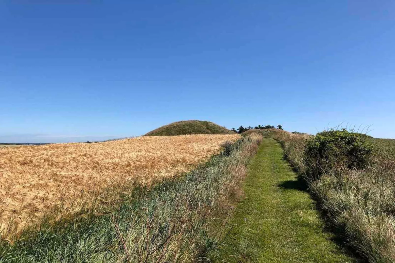 5 etoiles maison de vacances a Vestervig-Extérieur