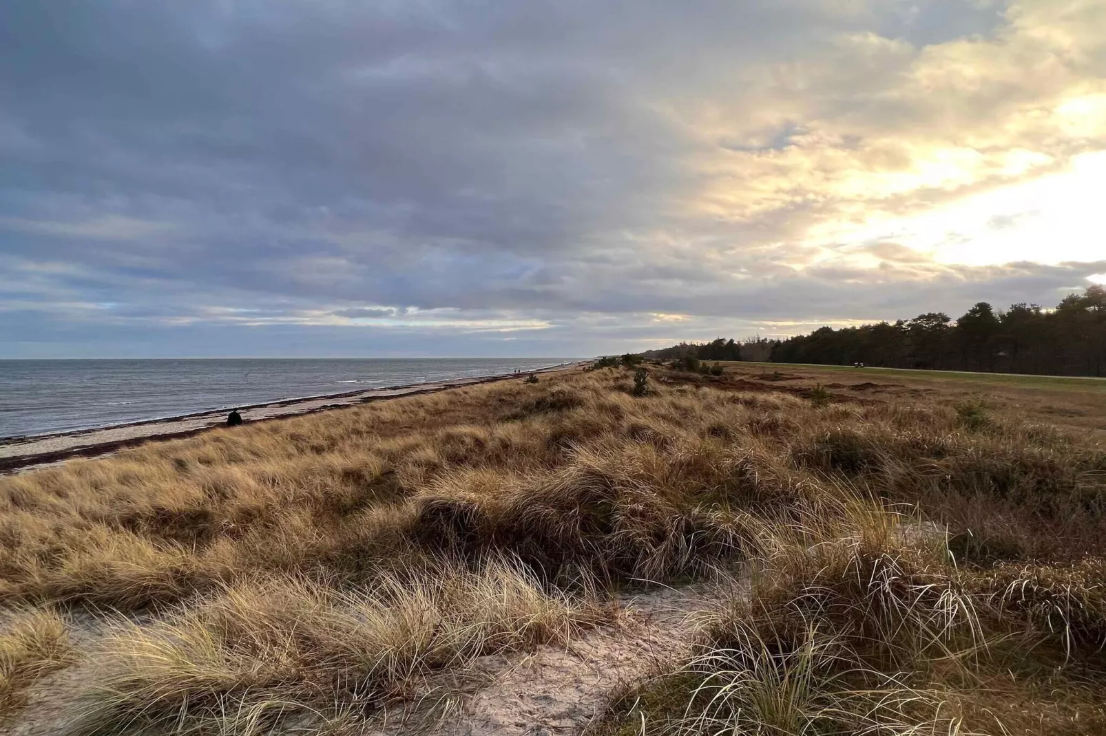 5 etoiles maison de vacances a Væggerløse-Non tagué