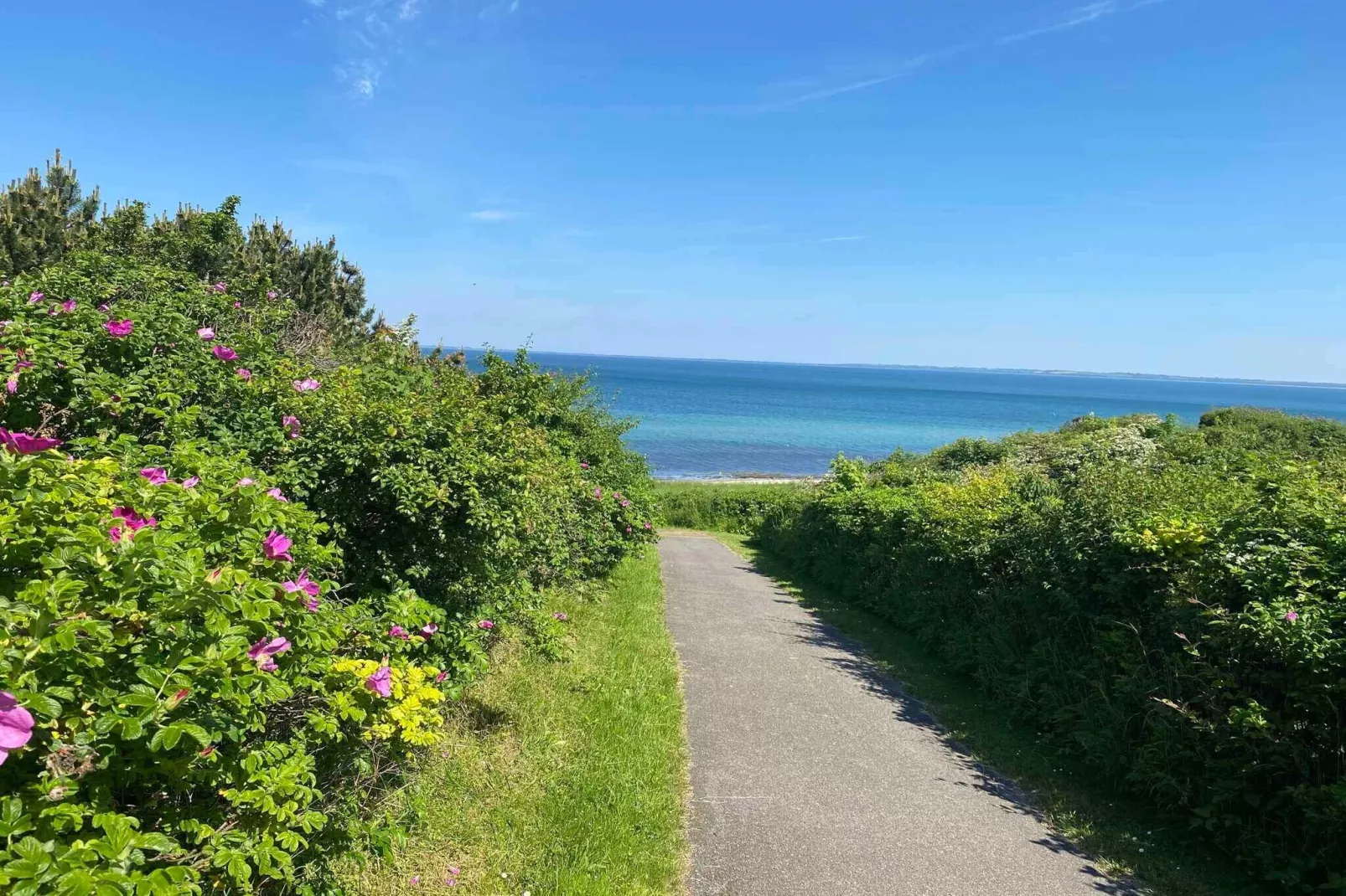 4 star holiday home in Asnæs-Untagged