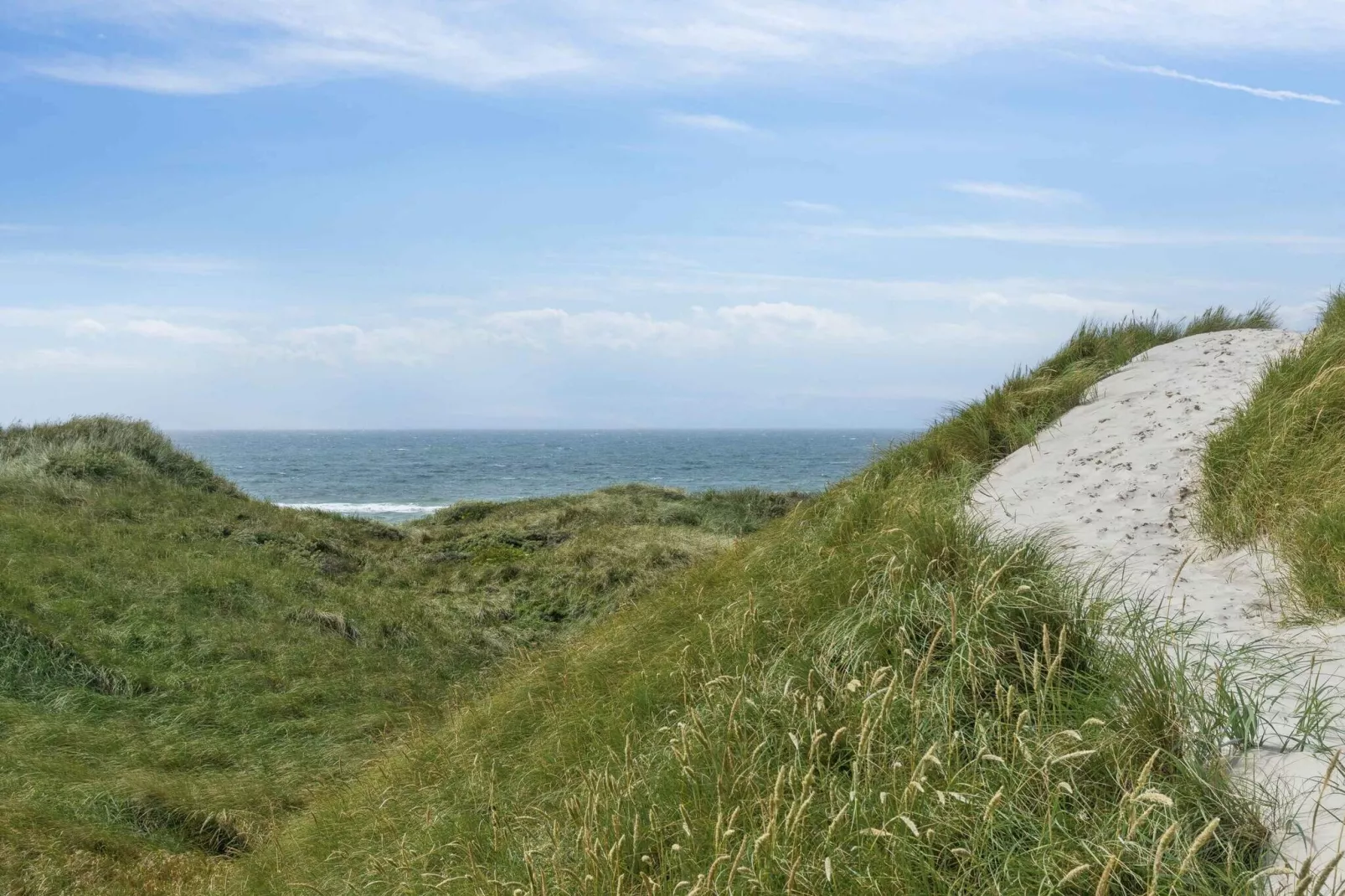 4 etoiles maison de vacances a Pandrup-Extérieur