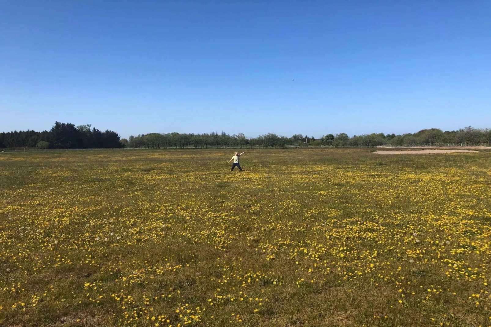 4 star holiday home in Hadsund-Outdoor