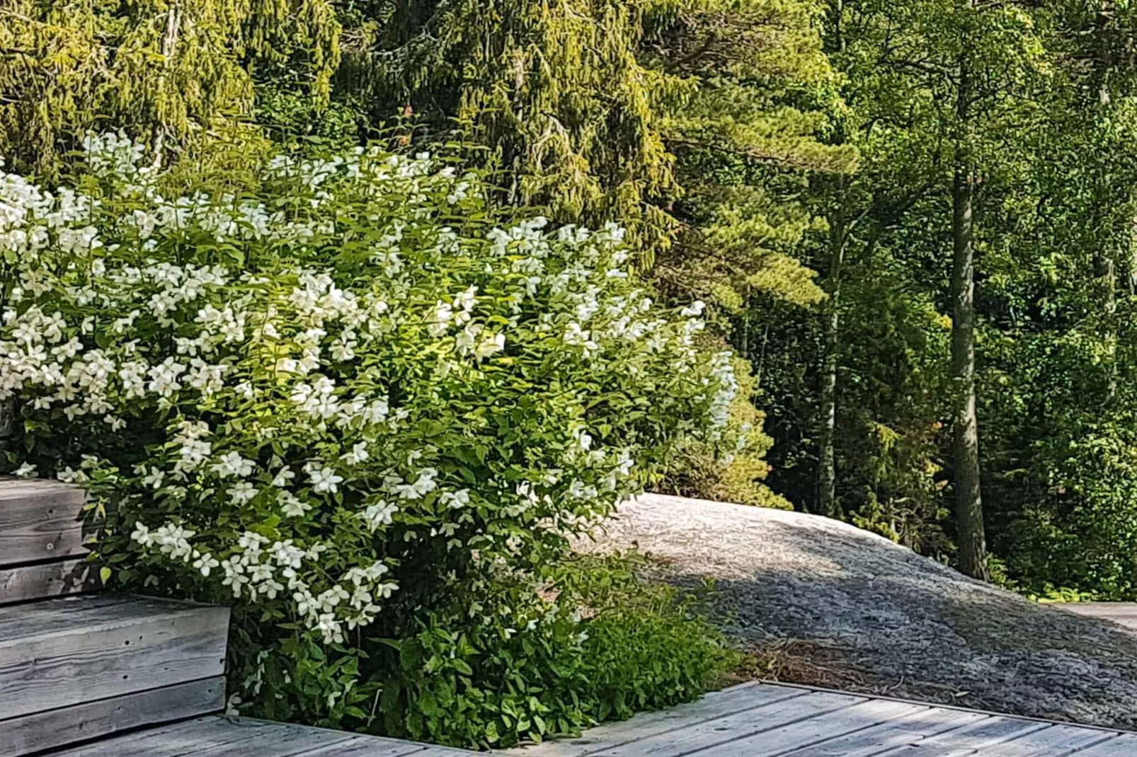Friedliches Inselhaus in Meeresnähe-Im Freien