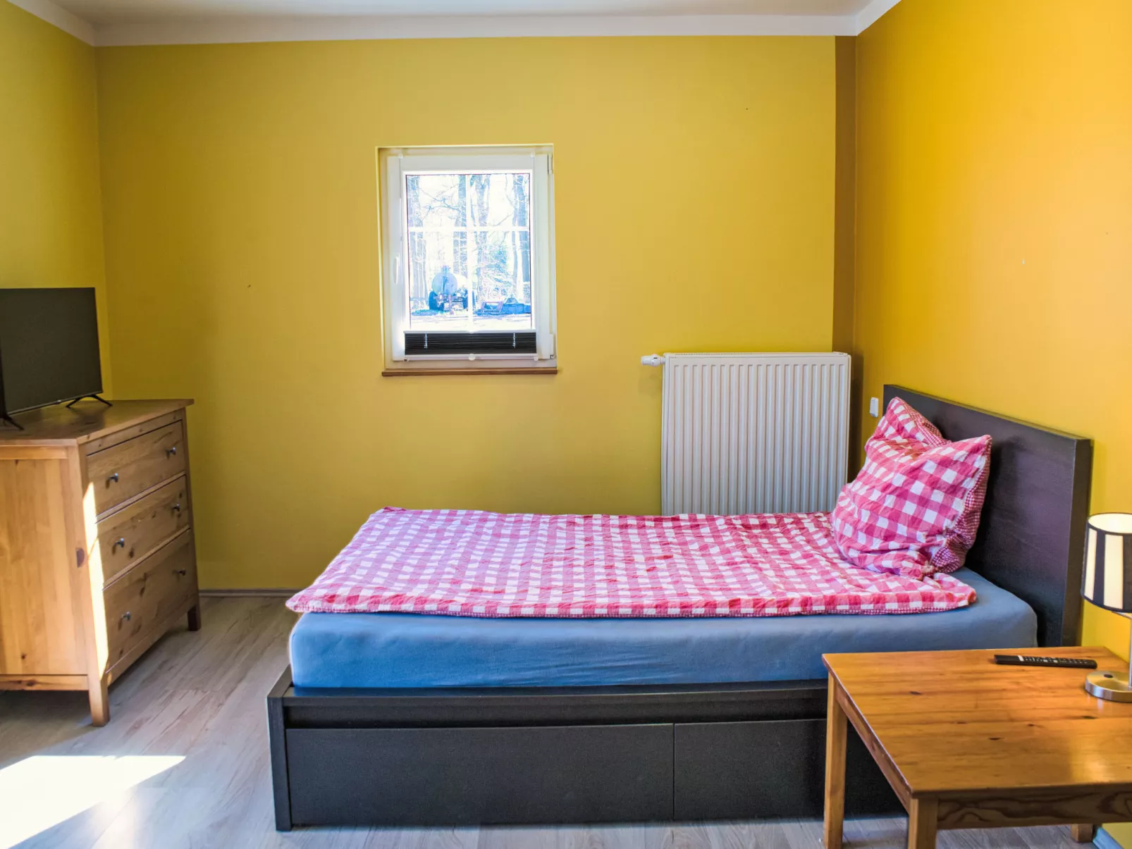 Schnakenberg-Drinnen