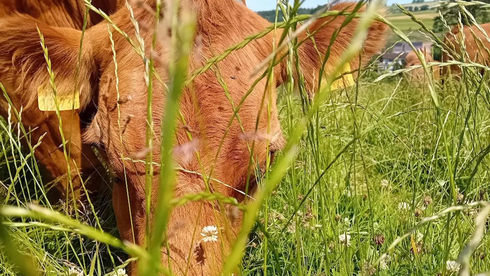 Waldacher Hof-Facilities