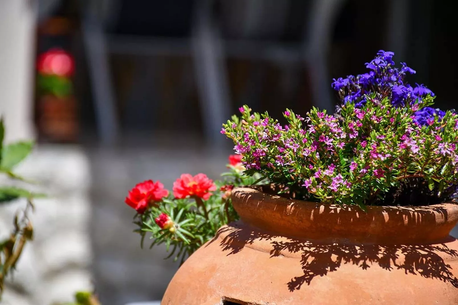 Apartments Jaklin -  Studio Apartment with Balcony and Sea View C-Gardens in summer