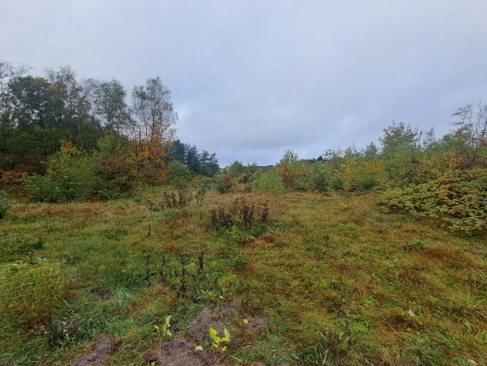 "Jelisaveta"-Draußen