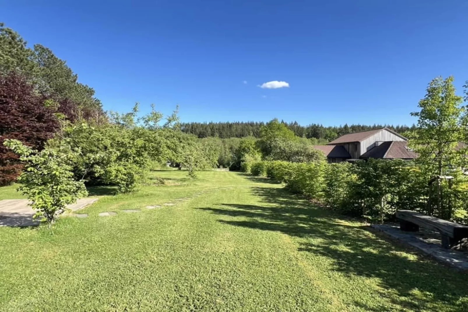 Pine Tree Tiny Cottage-Jardins en été
