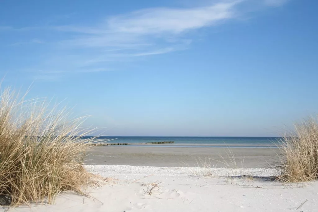 196486-Nicht zugeordnet