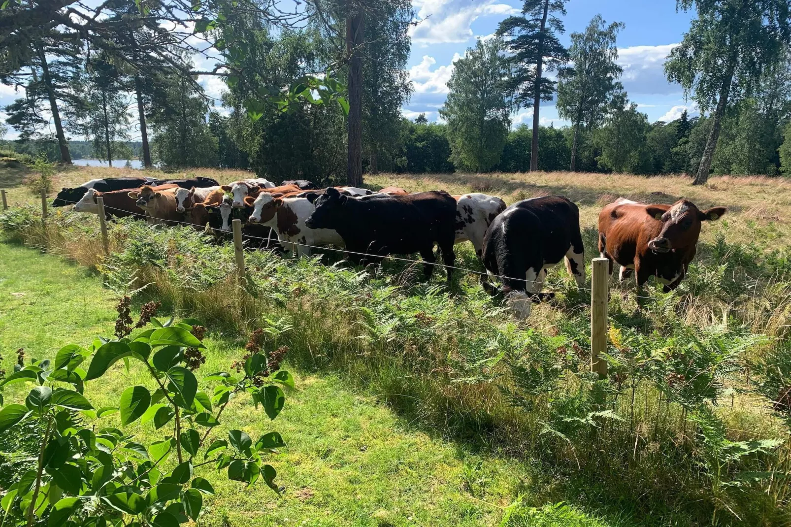 5 person holiday home in FLISBY-Outdoor