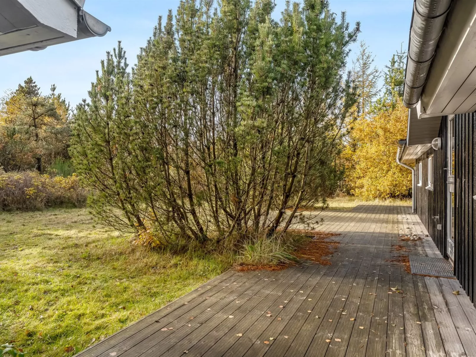 "Peder" - 4km from the sea-Outside