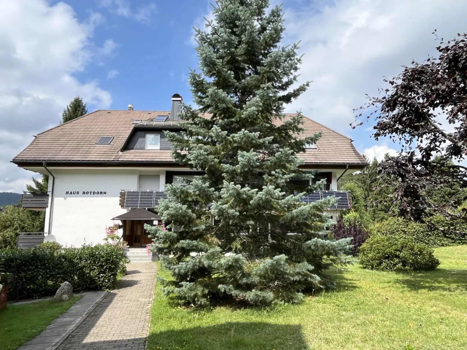 Sonnige Aussichten-Draußen