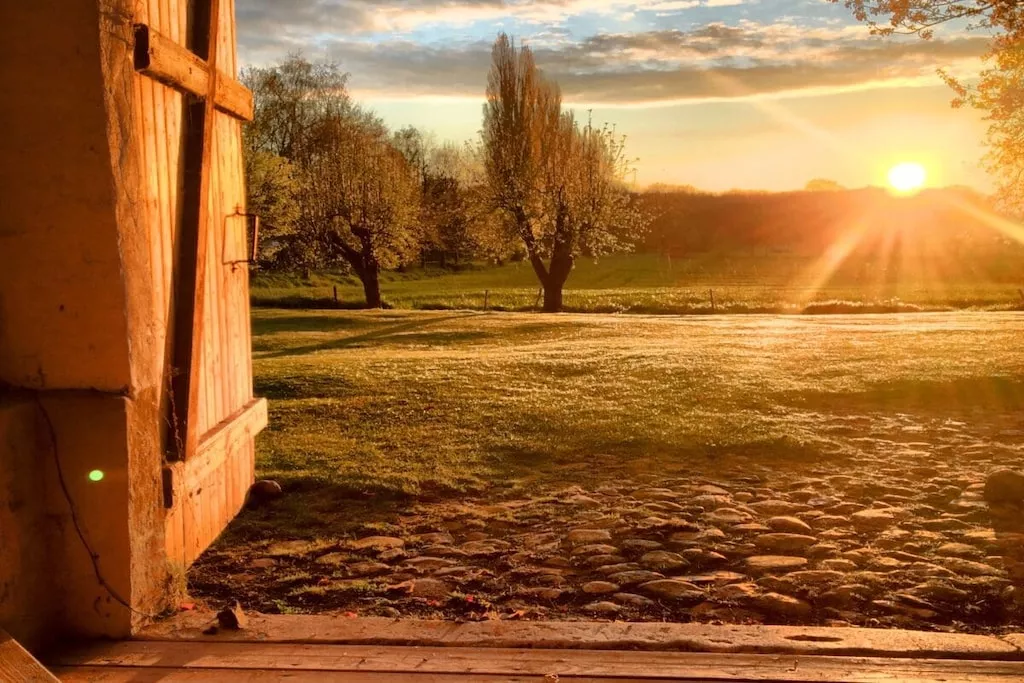 17823-Nicht zugeordnet