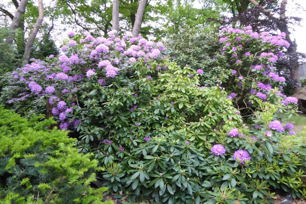 134643-Nicht zugeordnet