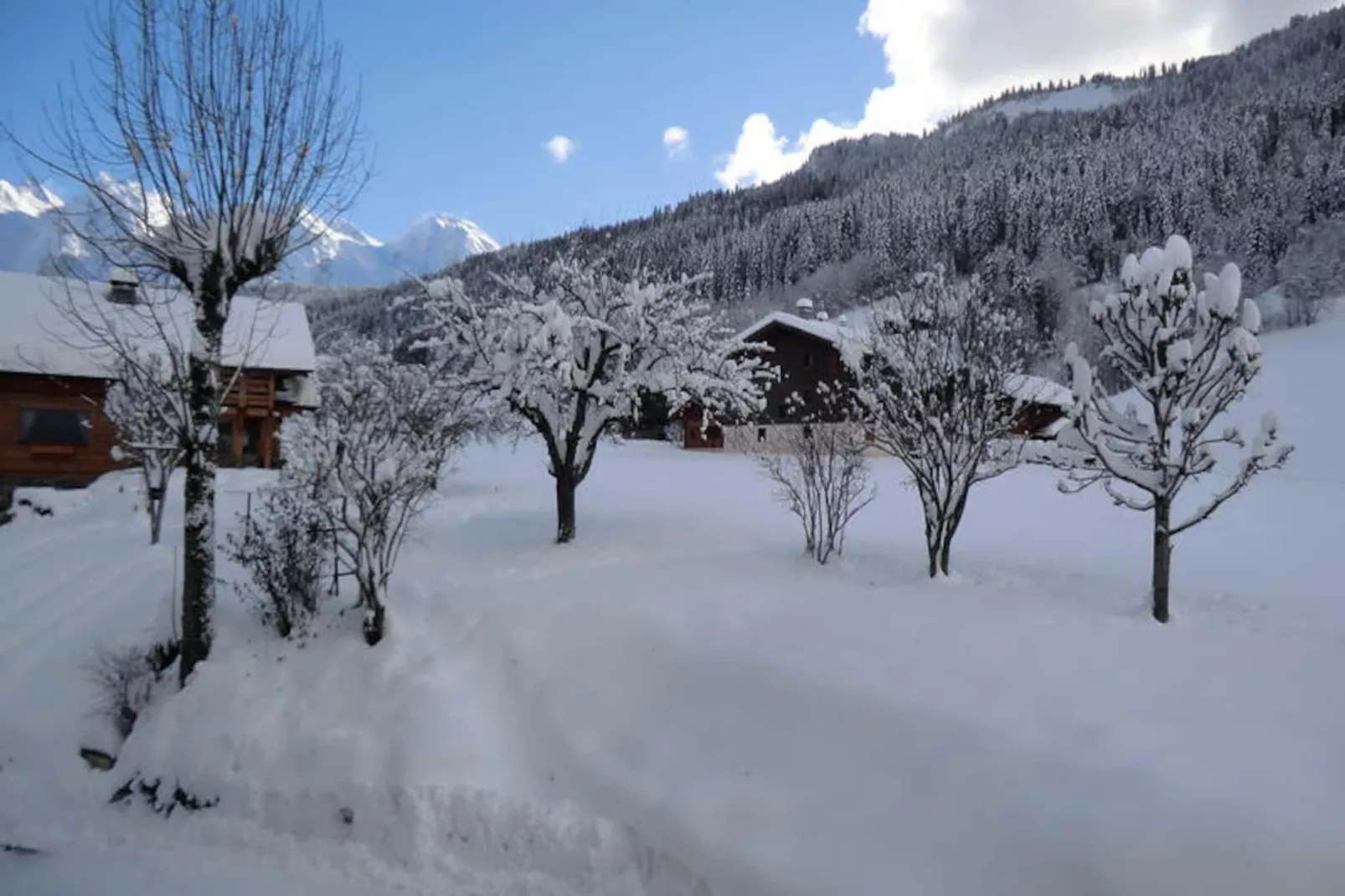 Résidence Vieux Noyer-Non tagué