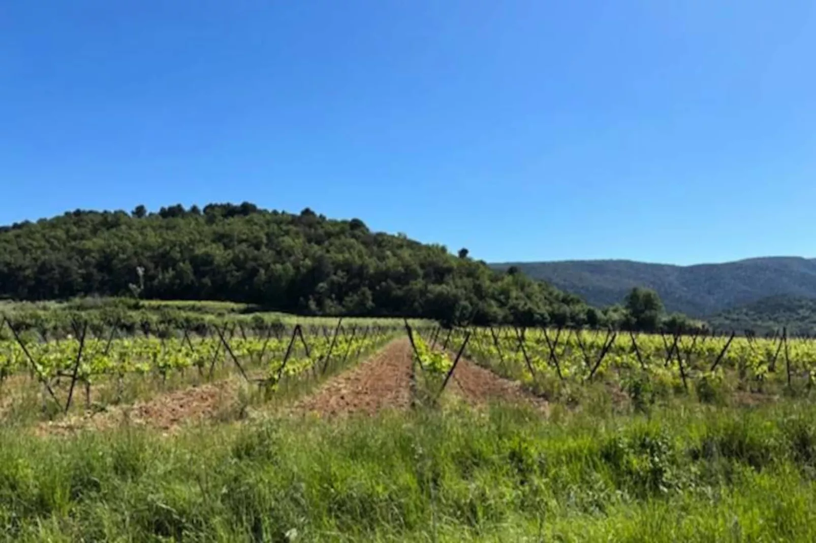 La Lacoste : Charme Et Vue Sur Le Luberon-Untagged