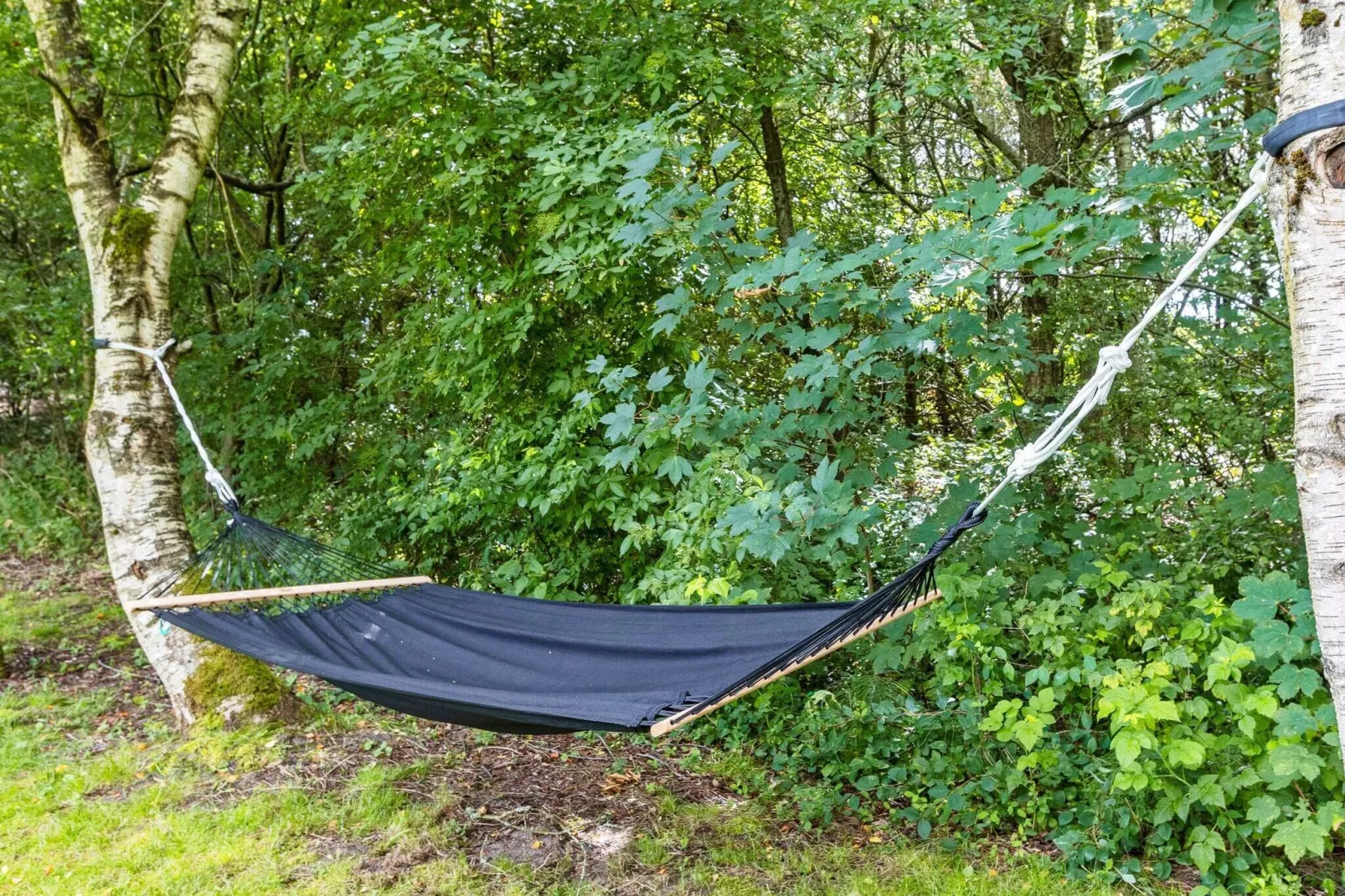 Maison de vacances pour 6 a Fjerritslev-By Traum-Vue