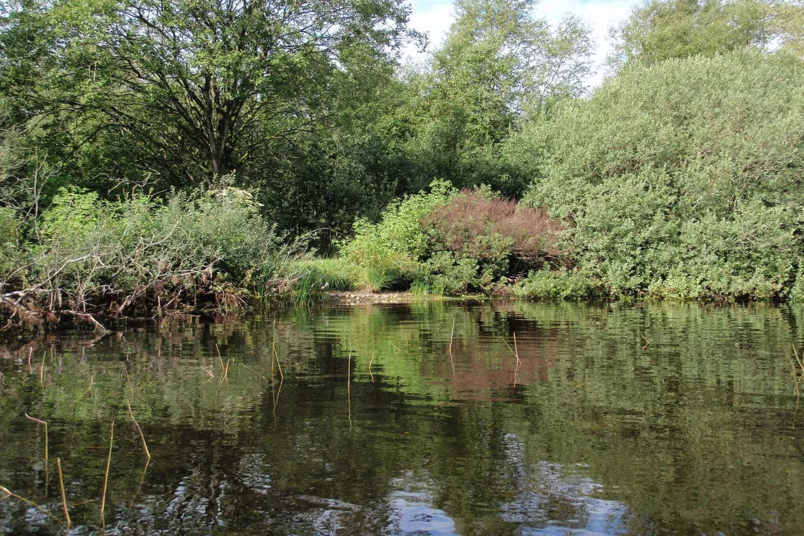 6 person holiday home in Ansager-Water view