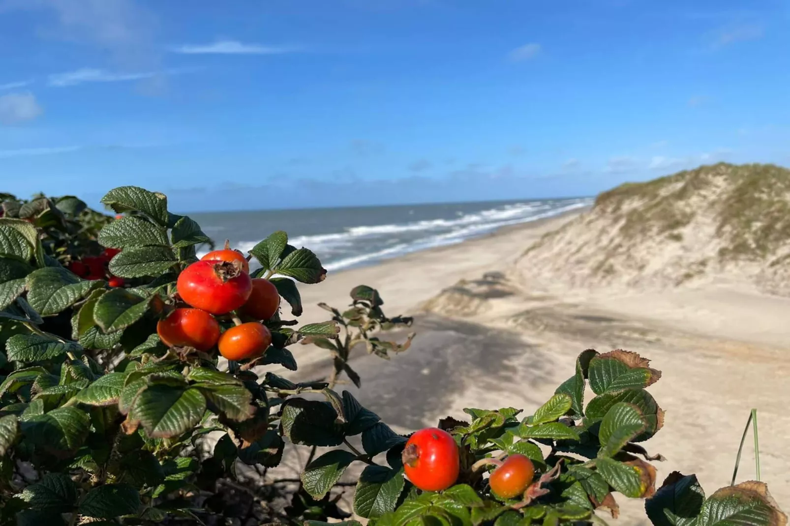 8 person holiday home in Ringkøbing-Water view