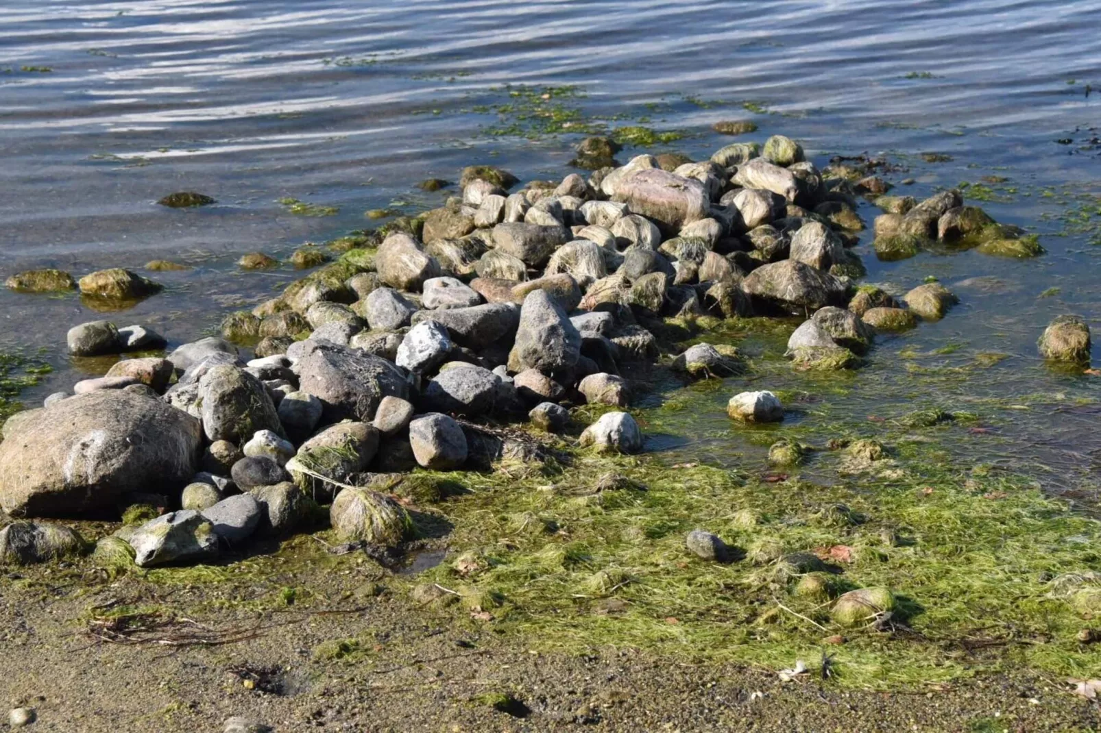 Charme cotier a Boged-By Traum-Vue sur l'eau
