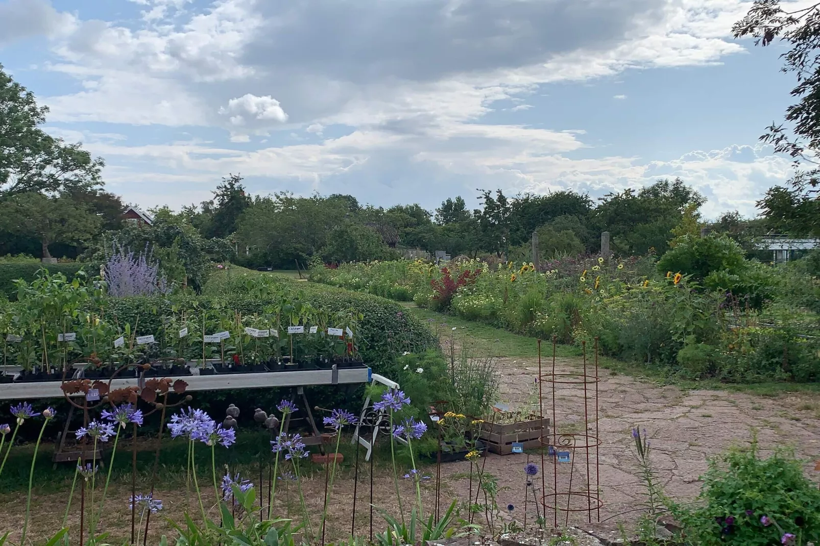 10 person holiday home in FÄRJESTADEN-Untagged