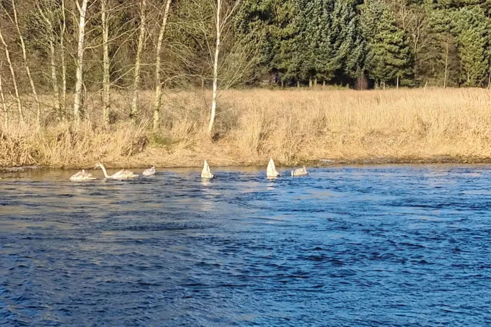 6 person holiday home in Fårvang-Water view