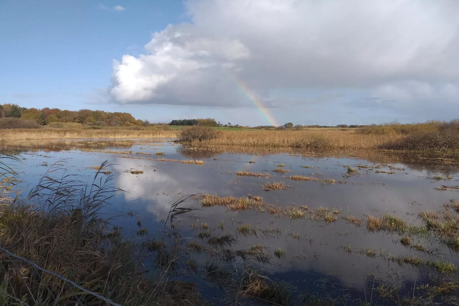 Maison de vacances pour 4 a Bøvlingbjerg-Vue sur l'eau